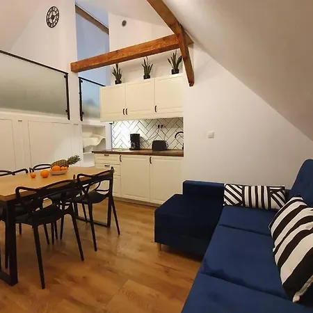 Koci Dom Loft Appartamento *